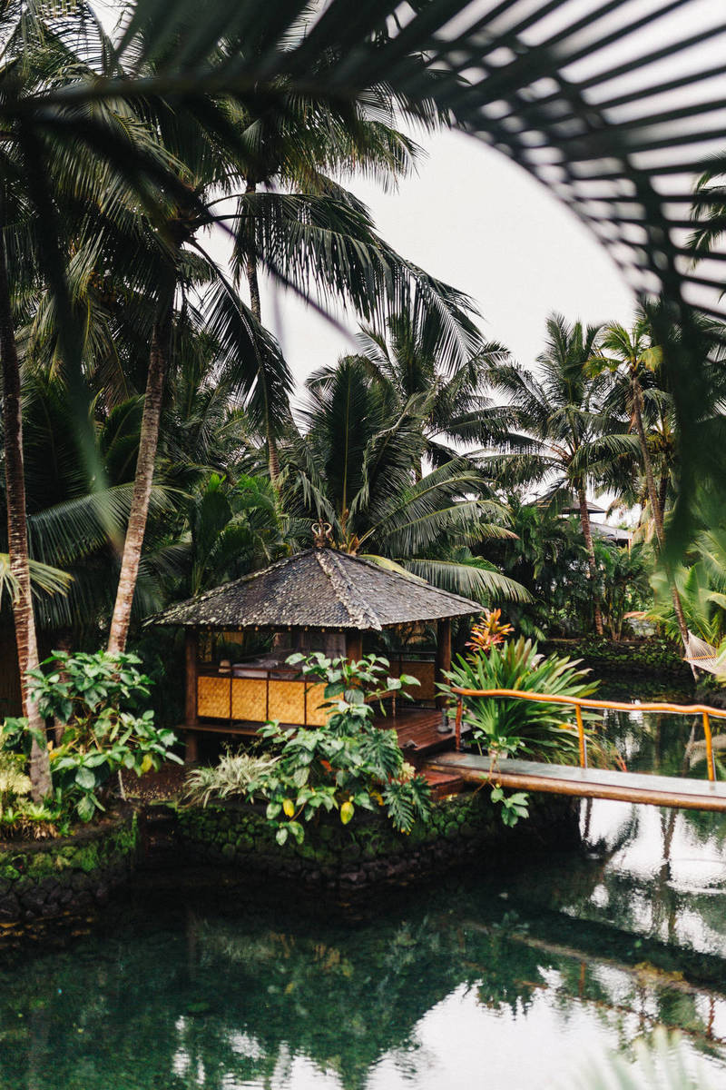 تغريدات النشطاء تلاحق شعلة الأولمبياد إلى ريو