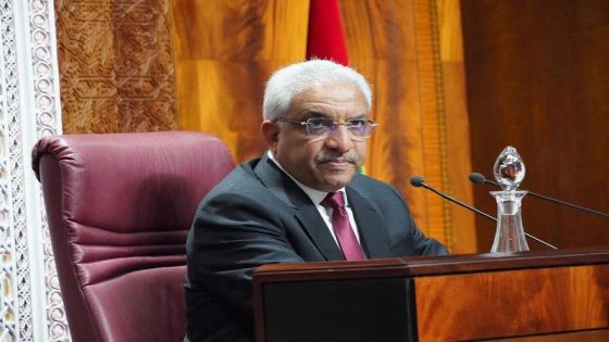 الصباري يطالب الحكومة بتدخل عاجل لإنهاء شلل النقل الجوي والبحري بجهة كلميم وادنون