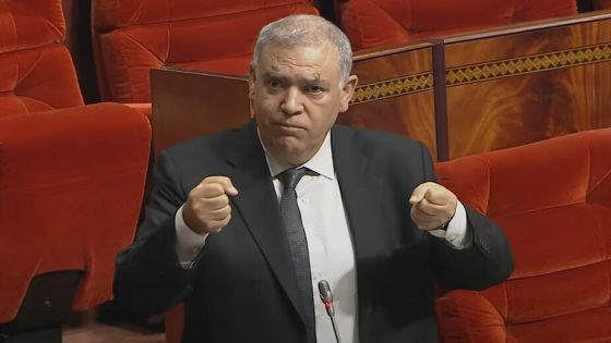 الحكومة تناقش مرسومين جديدين لإصلاح وتبسيط تدبير أراضي الجماعات السلالية