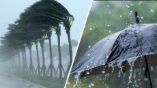 طقس بارد بالأطلس والريف مع ضباب شمالاً ورياح محملة بالغبار بالجنوب