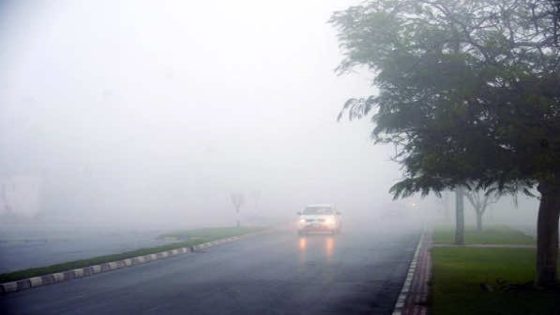 برودة وصقيع صباحي وضباب بسواحل المملكة.. وارتفاع طفيف في درجات الحرارة بطنجة ووادي ملوية